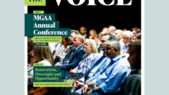 The Voice – Issue 17